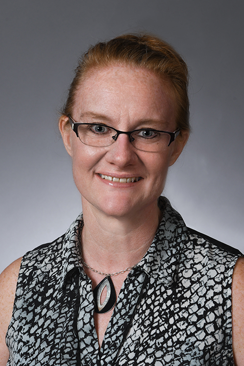 Amy L. Daniels, PhD, RN, CHSE-A, CNE