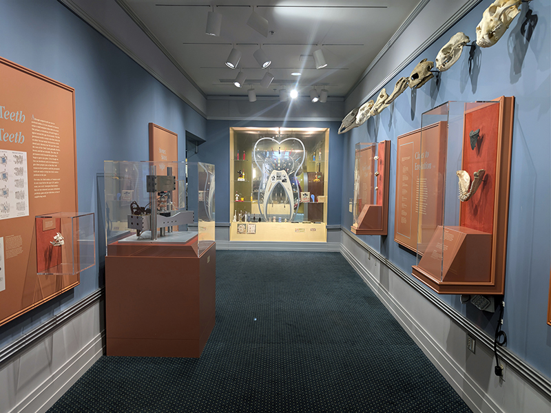 Dr. Samuel D. Harris National Museum of Dentistry