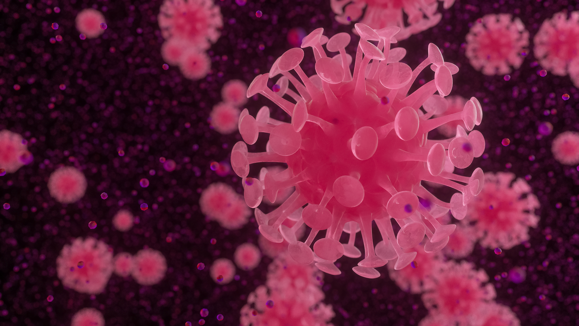 Coronavirus particles