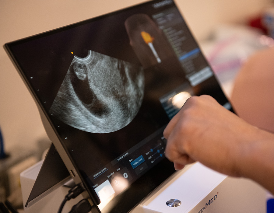 Training with an ultrasound device
