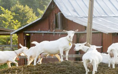 Agriculture Law Education Initiative conference Annapolis 2016