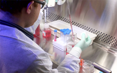 Greenebaum Cancer Center