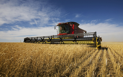 Combine on farm harvesting wheat