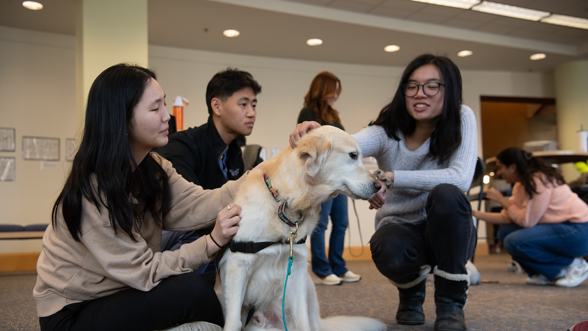 Students with therapy dog