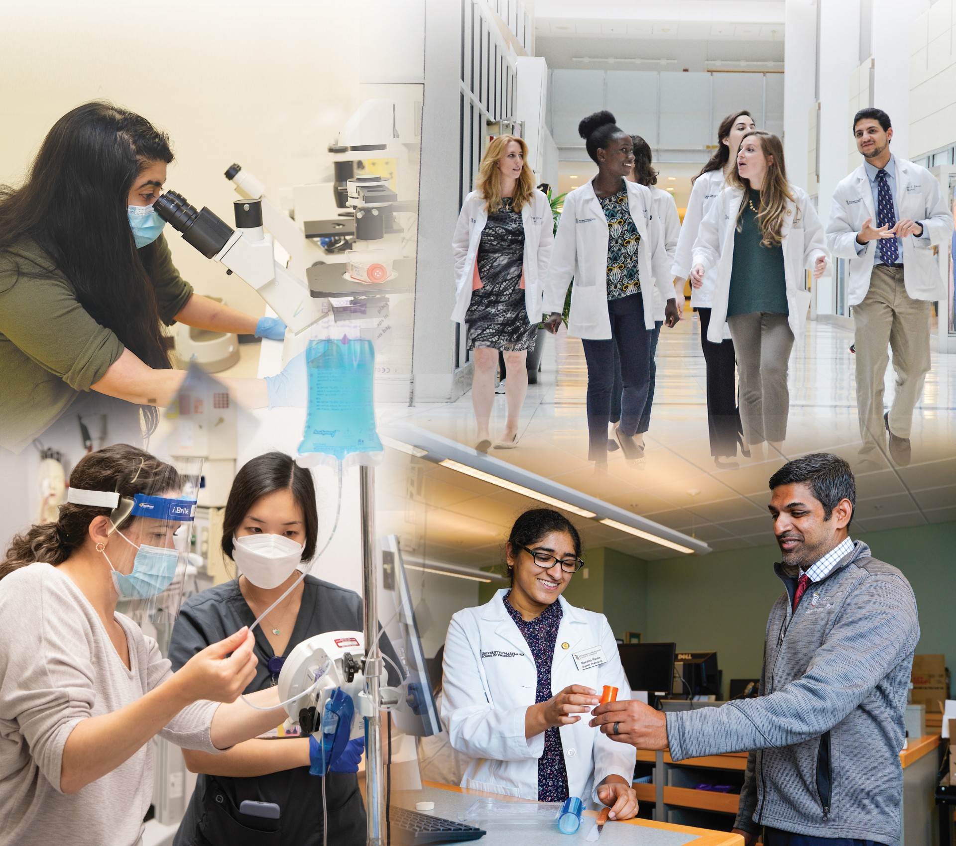 Students and professors