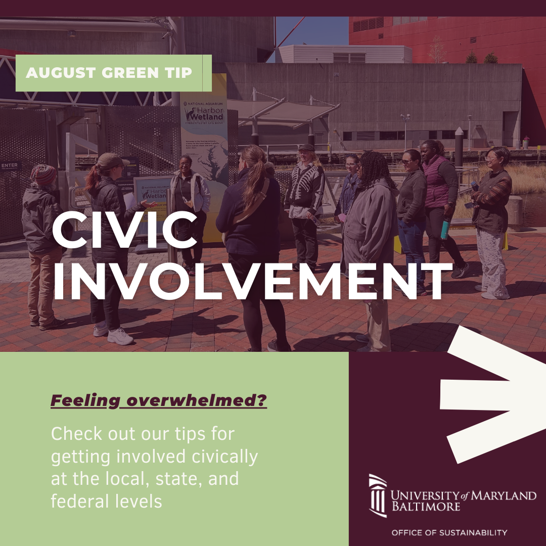 For this August Green Tip, we’re focusing on civic involvement. If you’re feeling overwhelmed, we’ve put together helpful tips for getting involved civically at the local, state, and federal levels. Engaging in your community and government can feel like a lot, but taking small steps can make a meaningful difference.